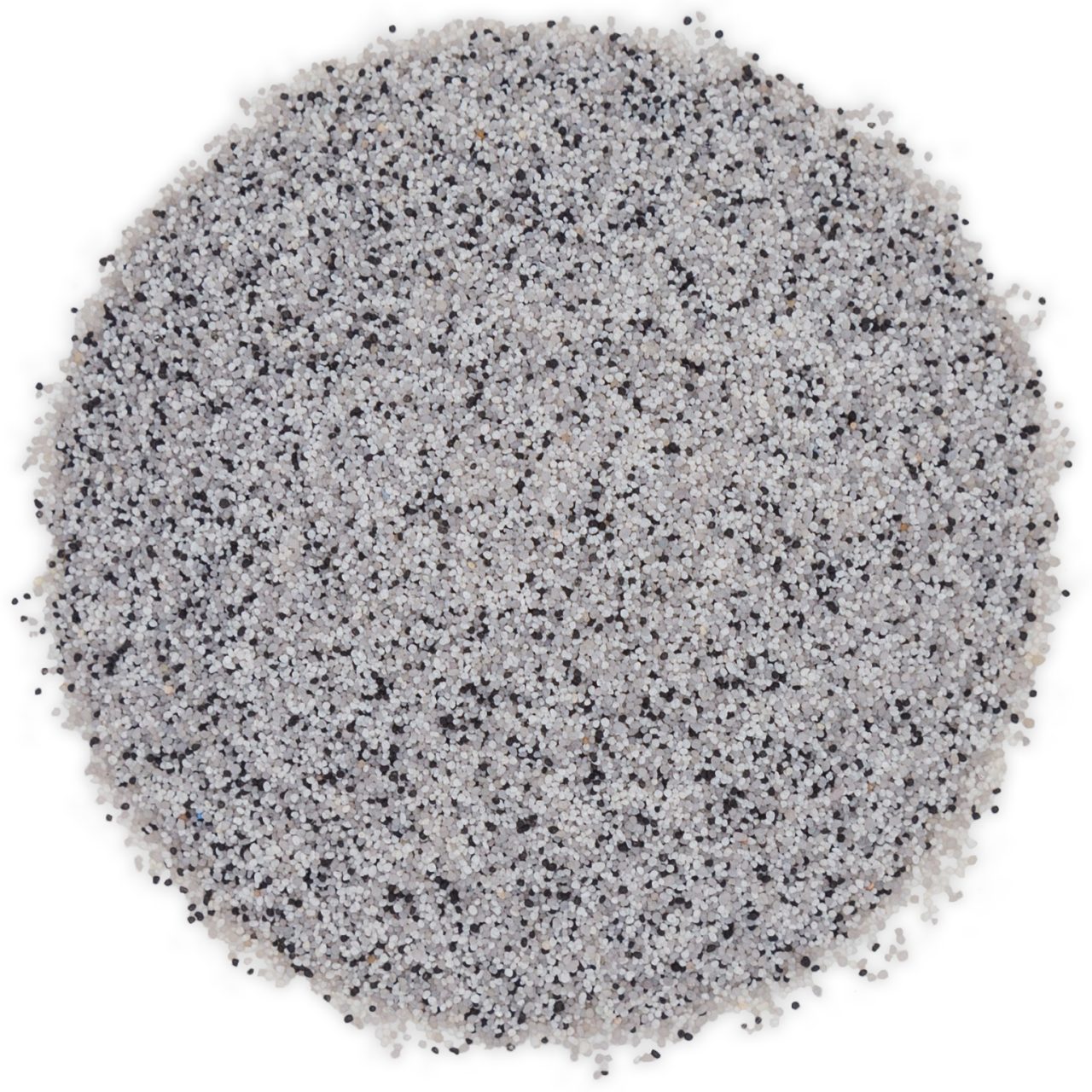 QB-1007_DALMATION_PILE.jpg?v=